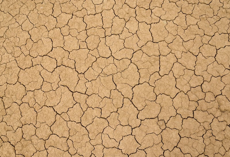 The Wastelands